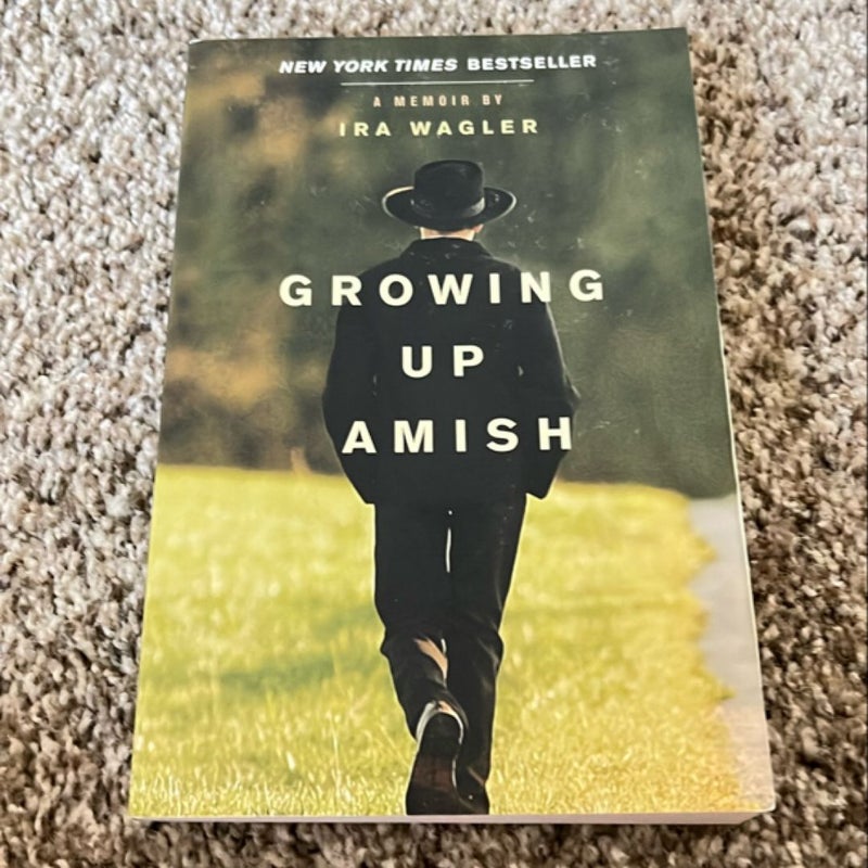 Growing up Amish