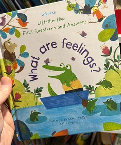Lift-The-Flap First Questions and Answers What Are Feelings?