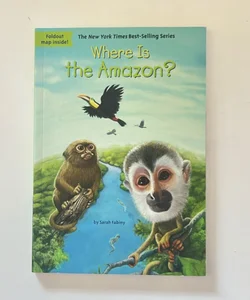 Where Is the Amazon?