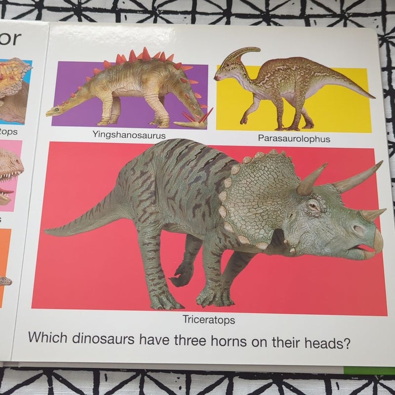 My Big Dinosaur Book