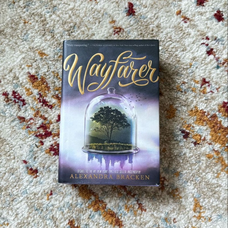 Wayfarer (a Passenger Novel, Book 2)