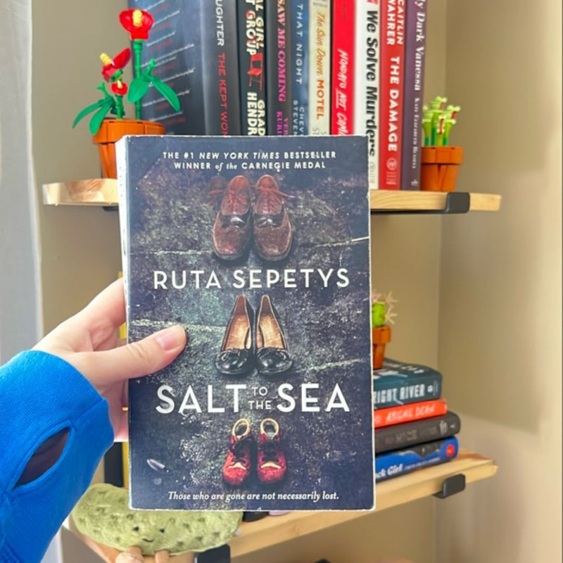 Salt to the Sea