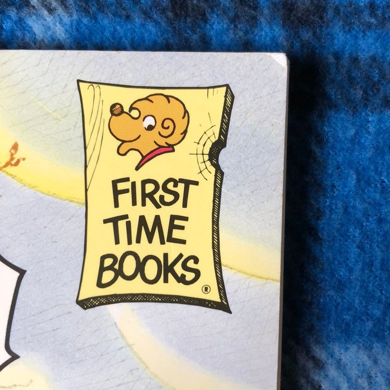 The Berenstain Bears and the Big Question