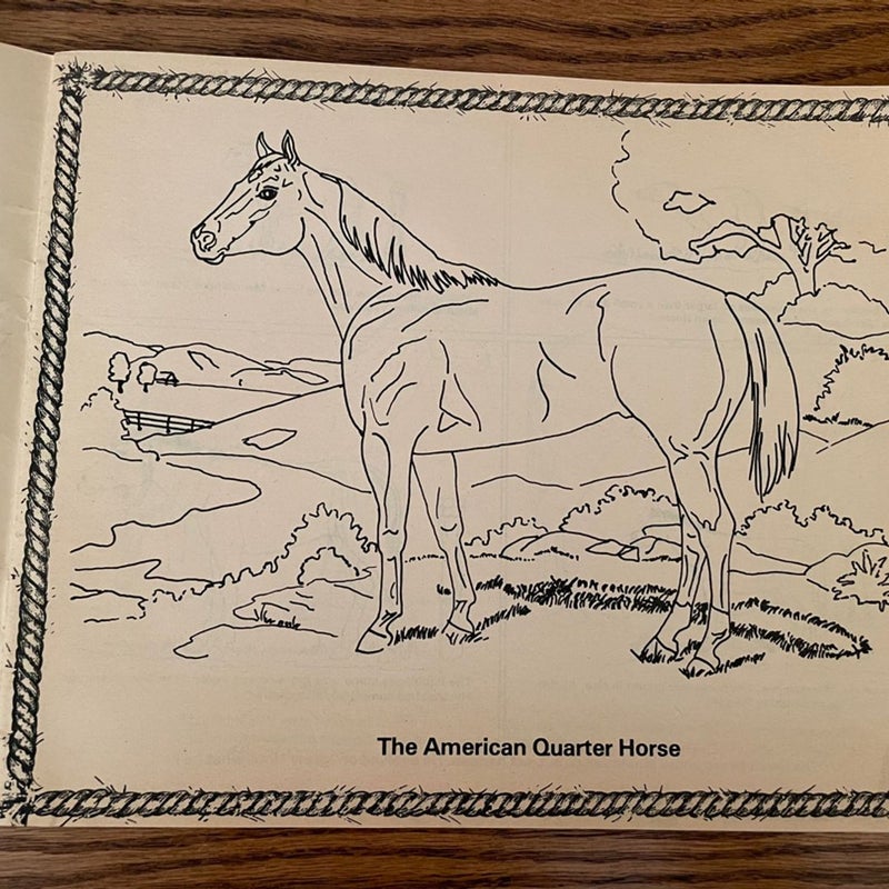 Vintage AQHA Horse Coloring Book
