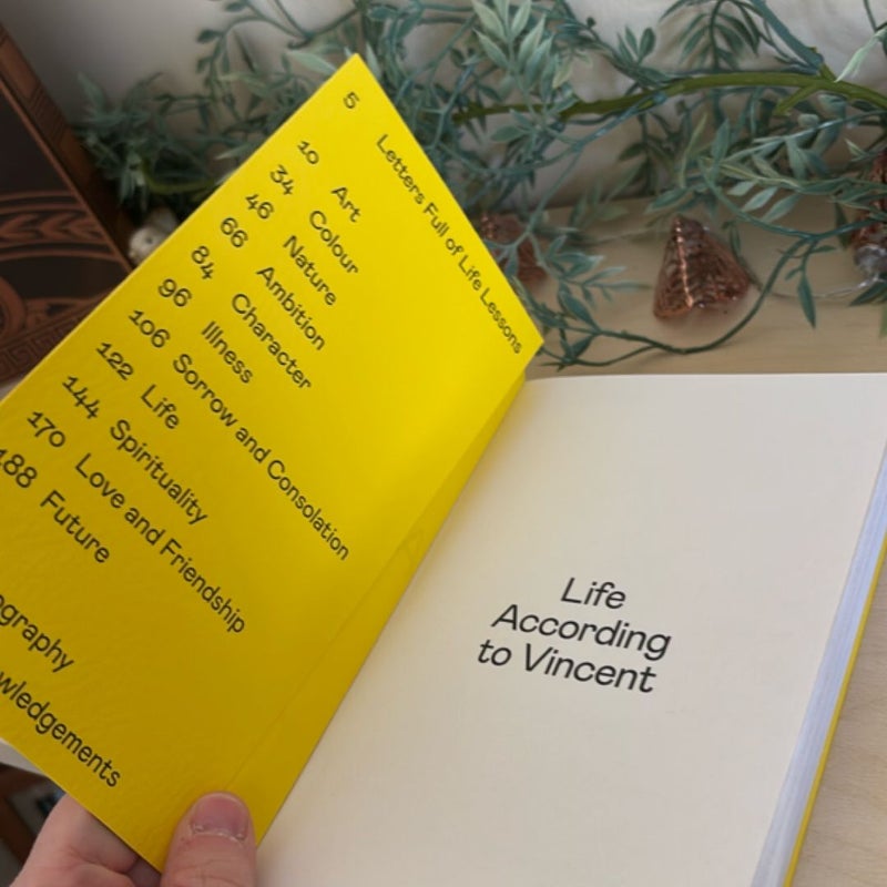 Life According to Vincent