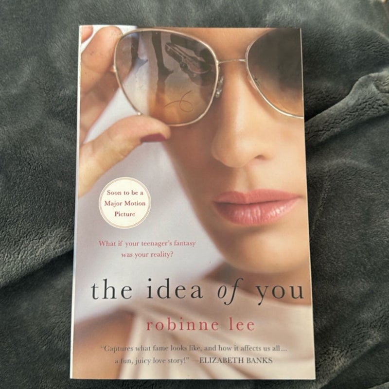 The Idea of You