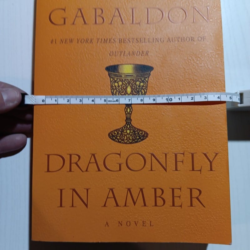 Dragonfly in Amber