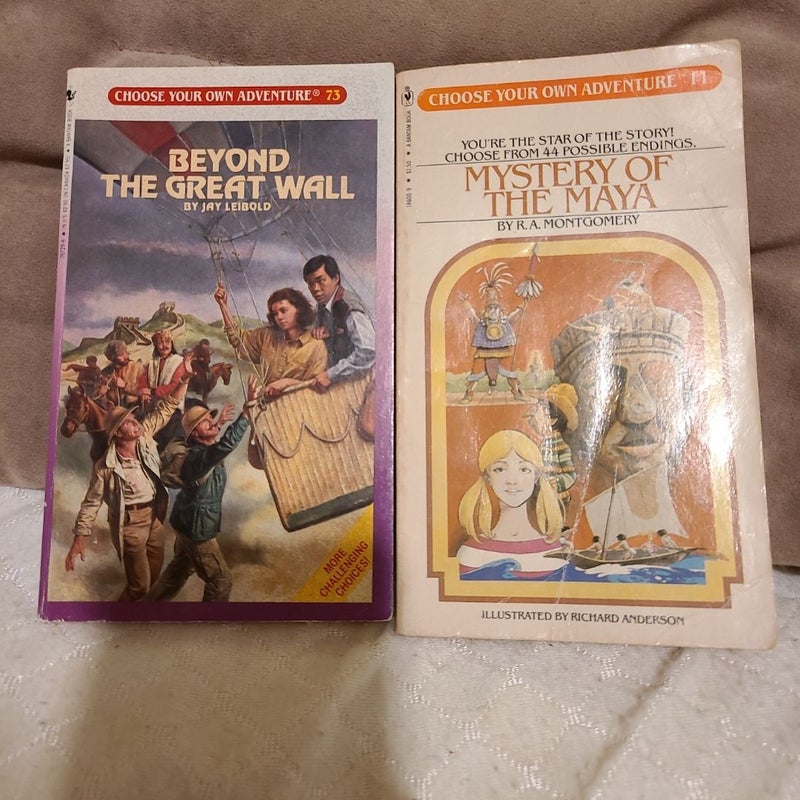 2 Choose Your Own Adventure Books