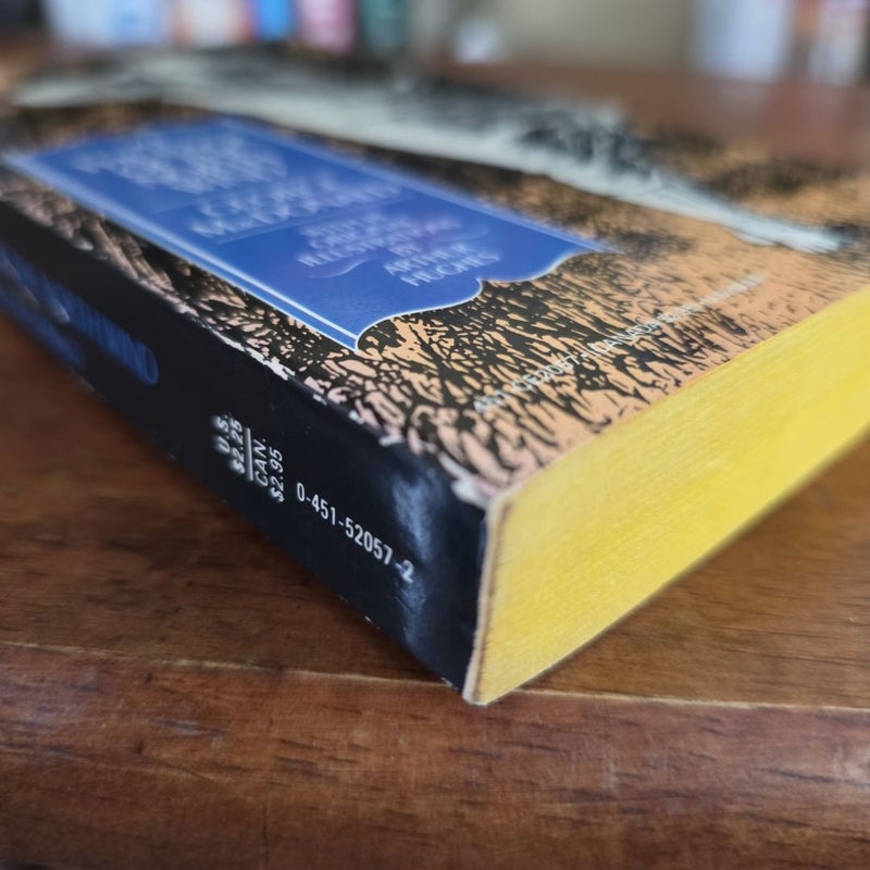 VINTAGE 1986 At The Back Of The North Wind, Signet Classic (by George MacDonald)