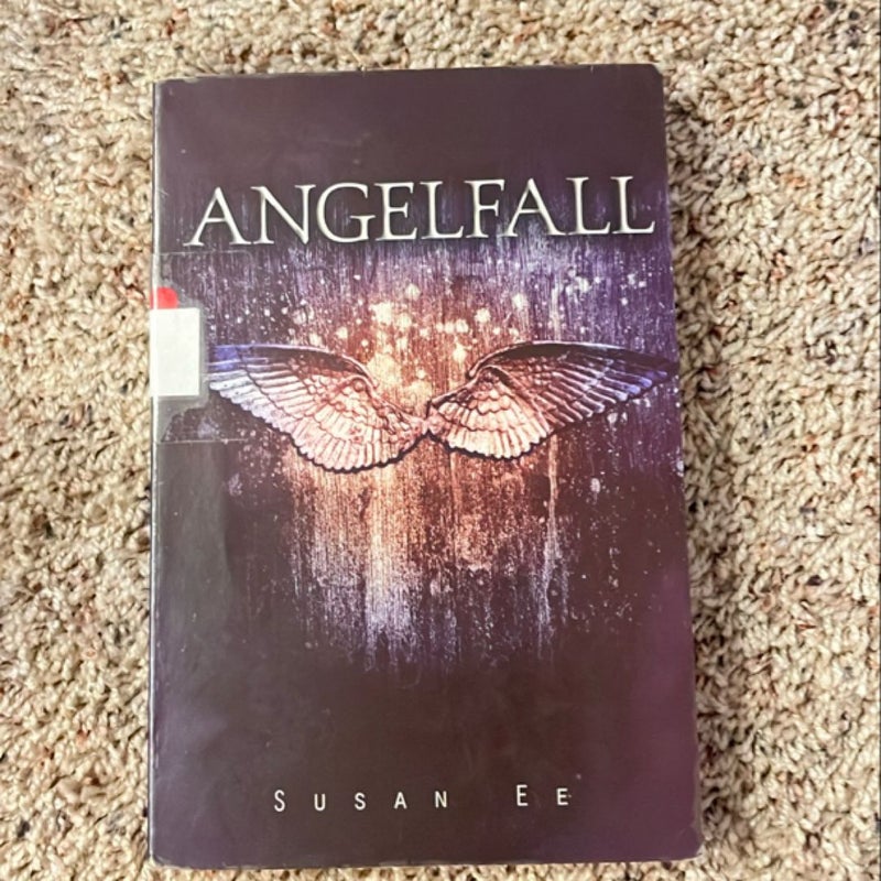 Angelfall