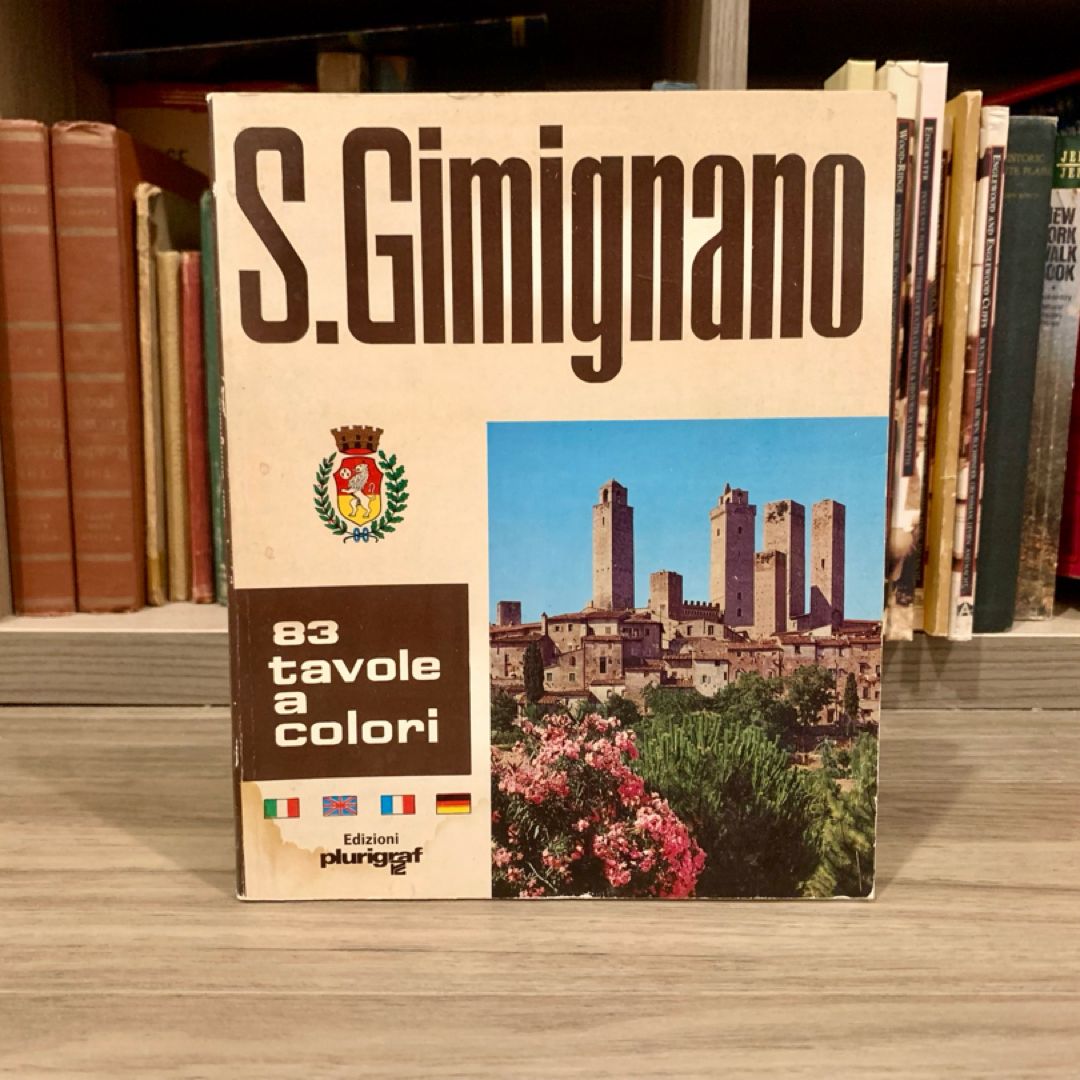 San Gimignano (*Italian Edition*)