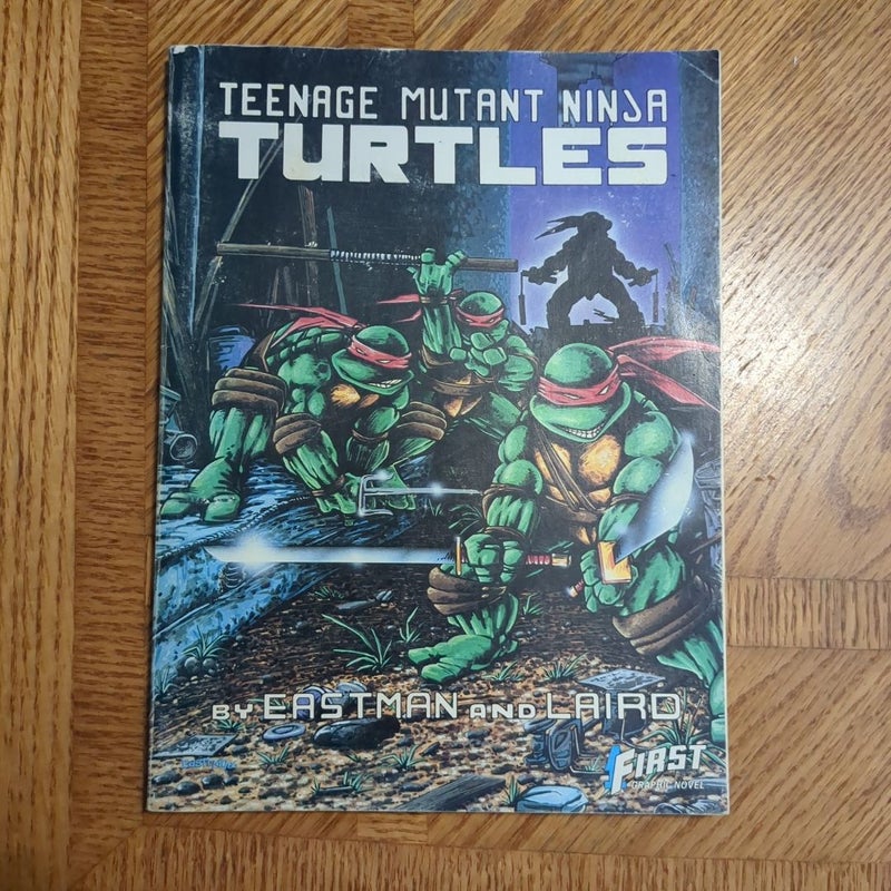 Teenage Mutant Ninja Turtles (2)