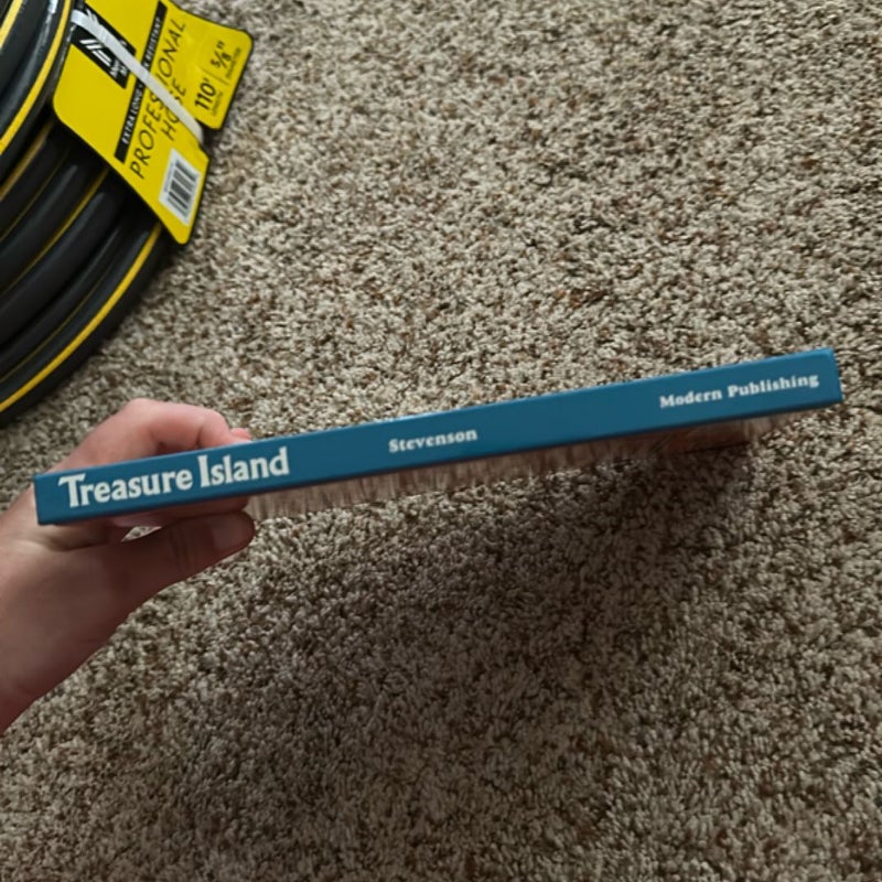 Treasure Island 