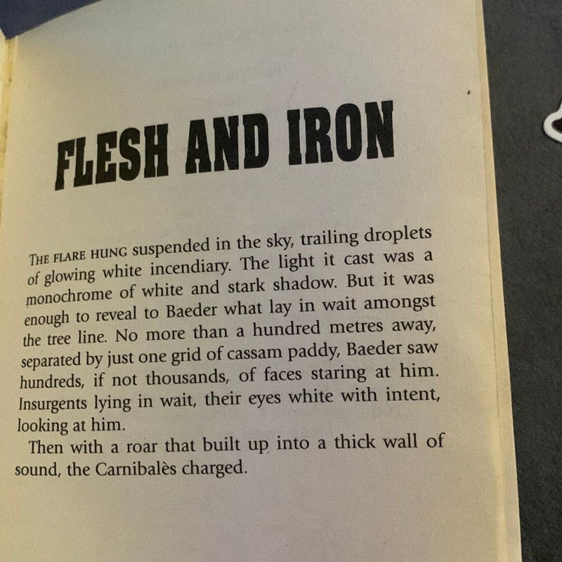 Flesh and Iron