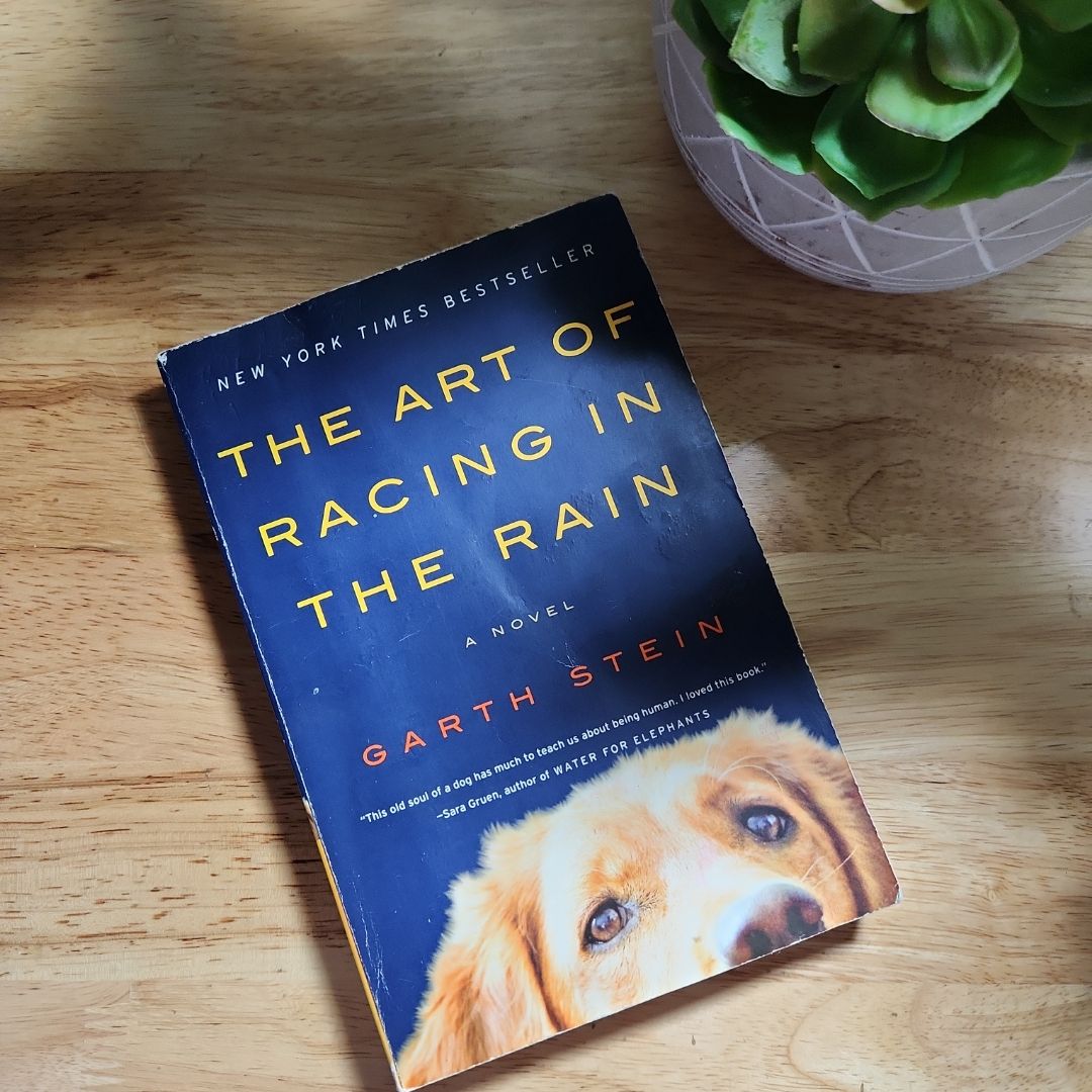 The Art of Racing in the Rain