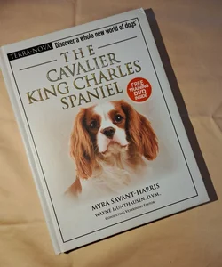 The Cavalier King Charles Spaniel