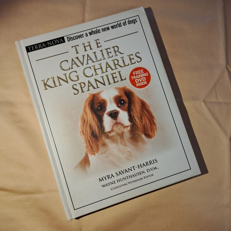 The Cavalier King Charles Spaniel