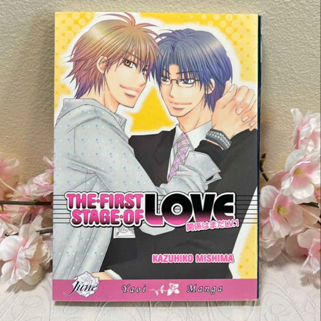 The First Stage of Love (Yaoi)