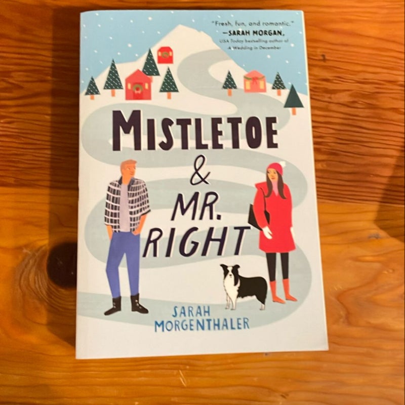 Mistletoe and Mr. Right