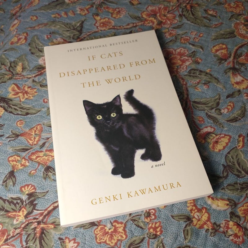 If Cats Disappeared from the World