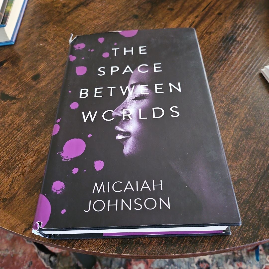 The Space Between Worlds