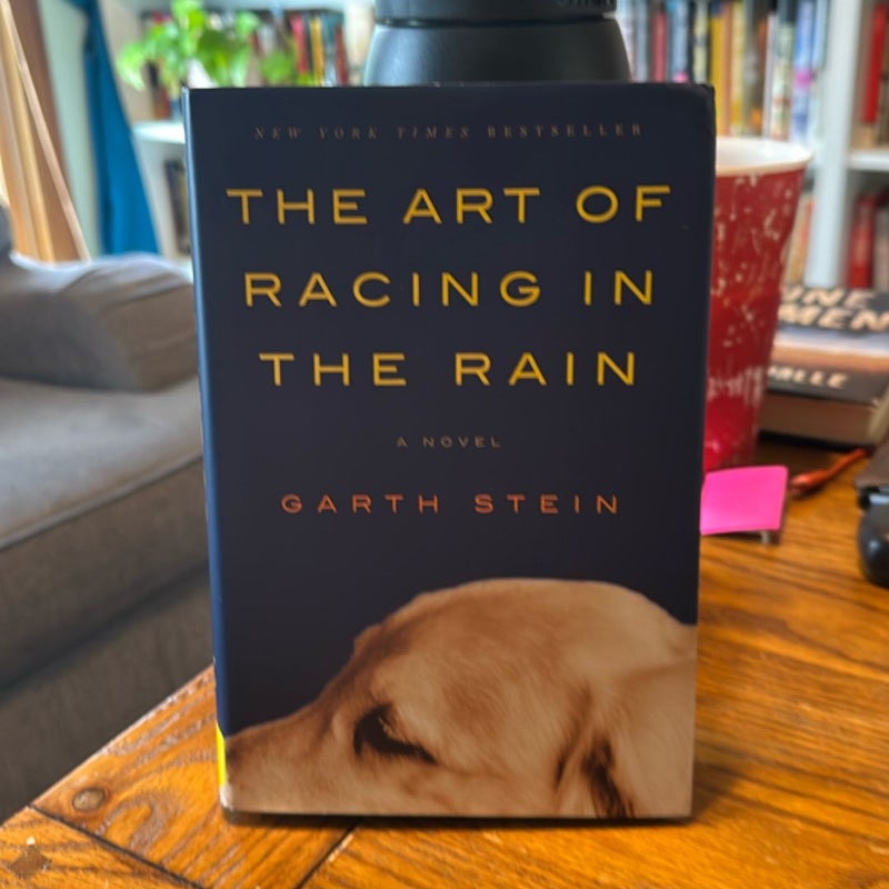 The Art of Racing in the Rain