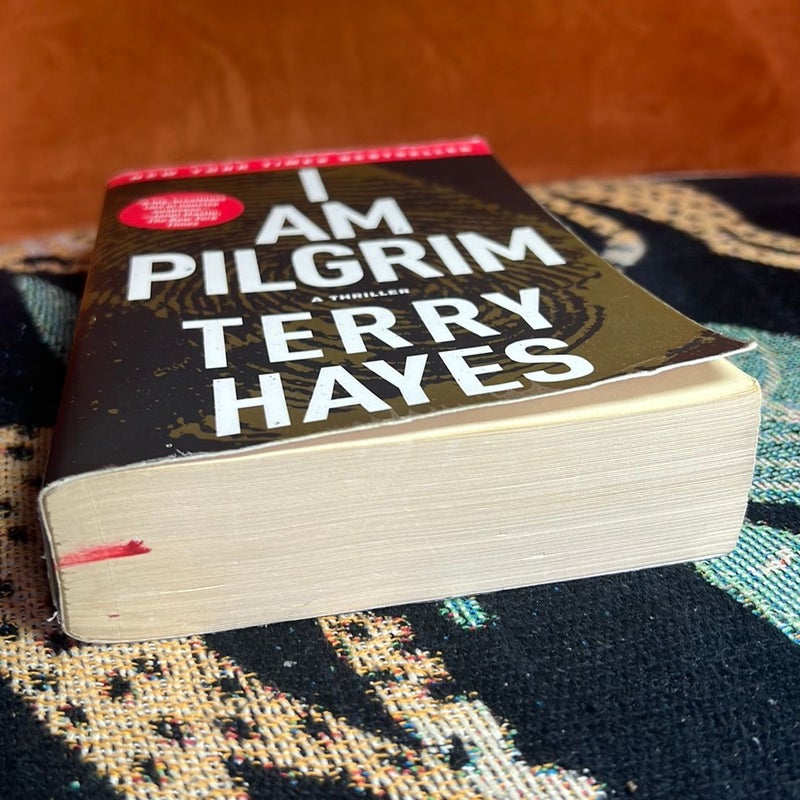 I Am Pilgrim