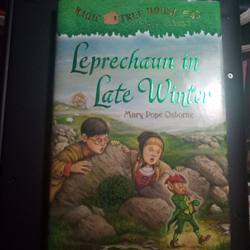 Leprechaun in Late Winter