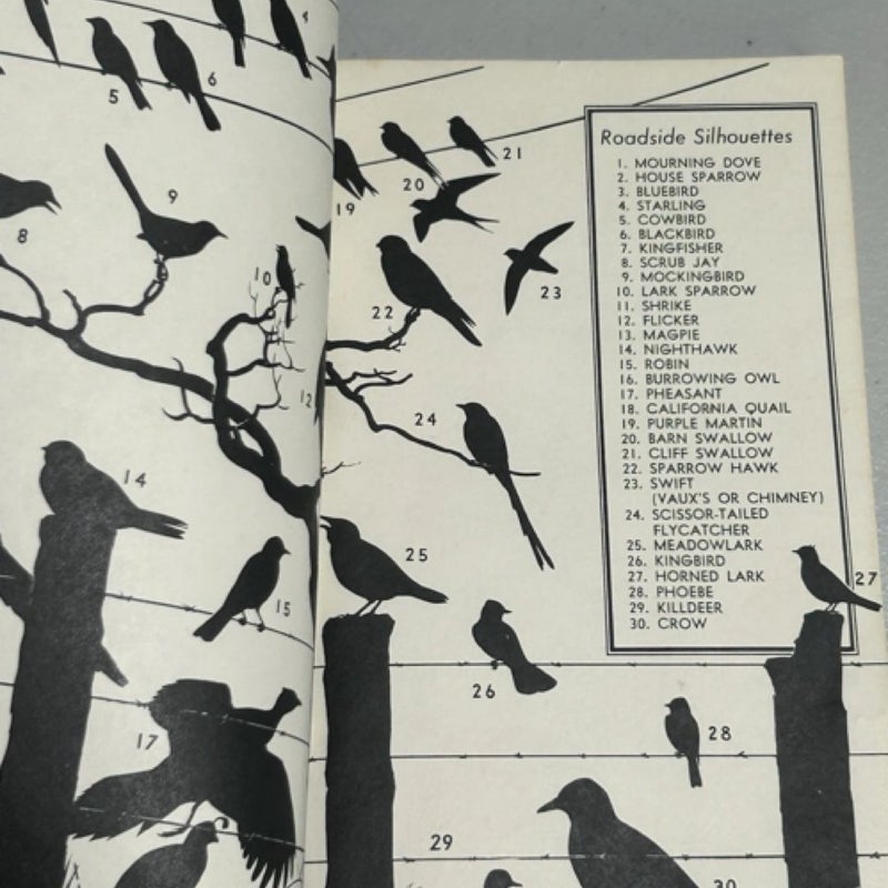 A Field Guide To Western Birds 