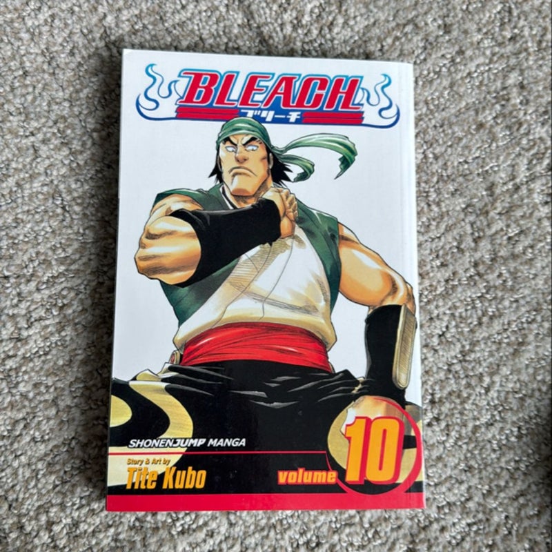 Bleach, Vol. 10