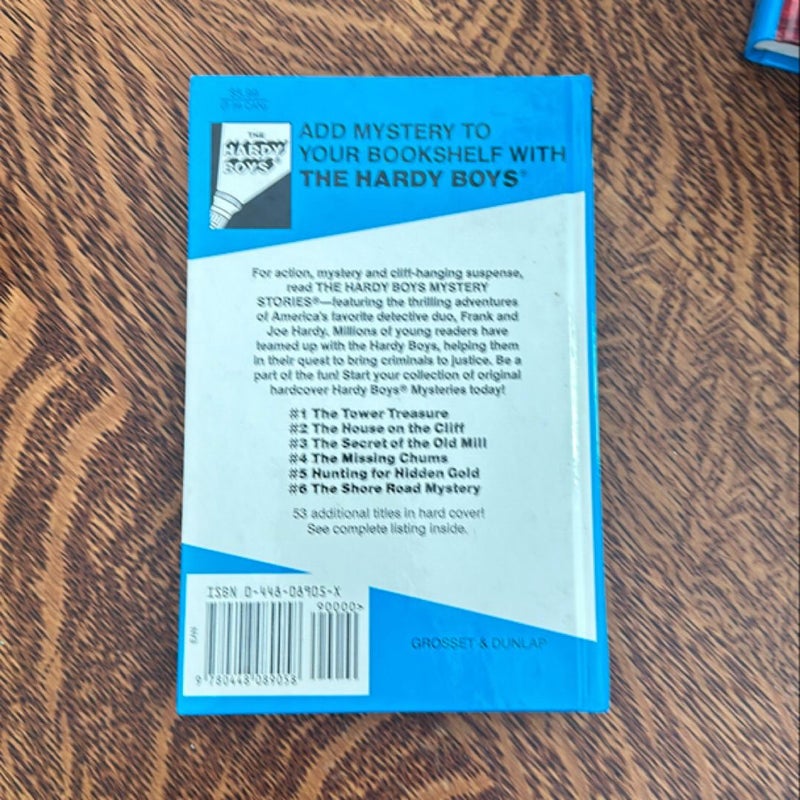 Hardy Boys 05: Hunting for Hidden Gold