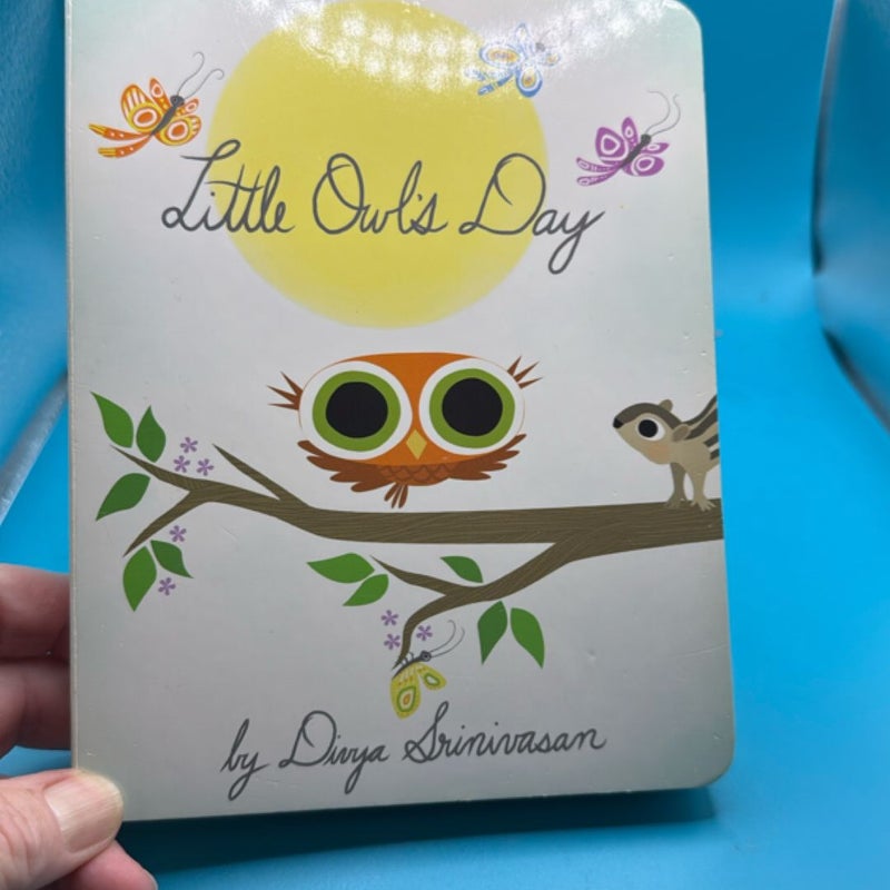 Little Owl's Day