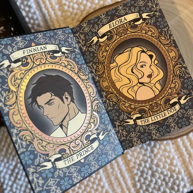 Rise of the Cinder Fae - Unplugged Book box