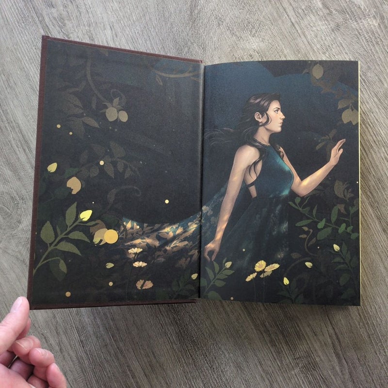 This Vicious Grace (Fairyloot)