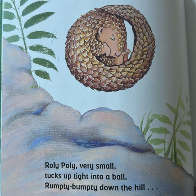 Roly Poly Pangolin