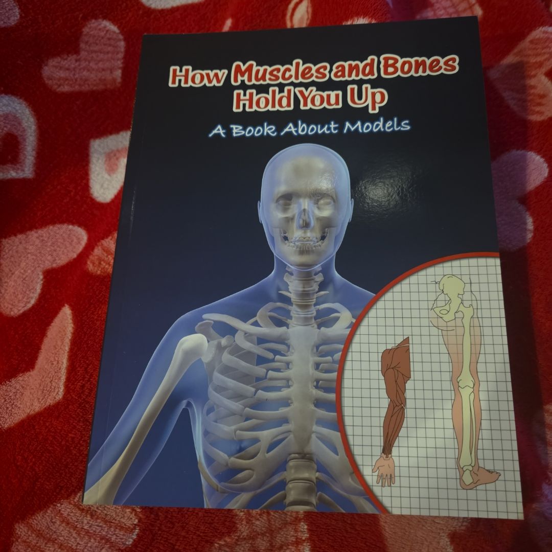 How Muscles and Bones Hold You Up