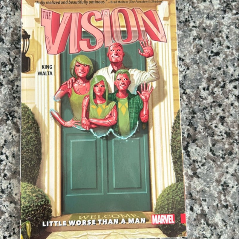 Vision Vol. 1