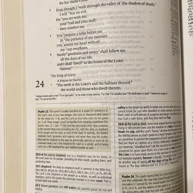 ESV Study Bible