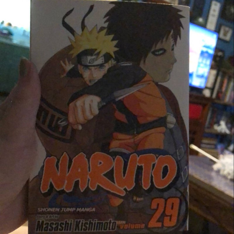 Naruto, Vol. 29