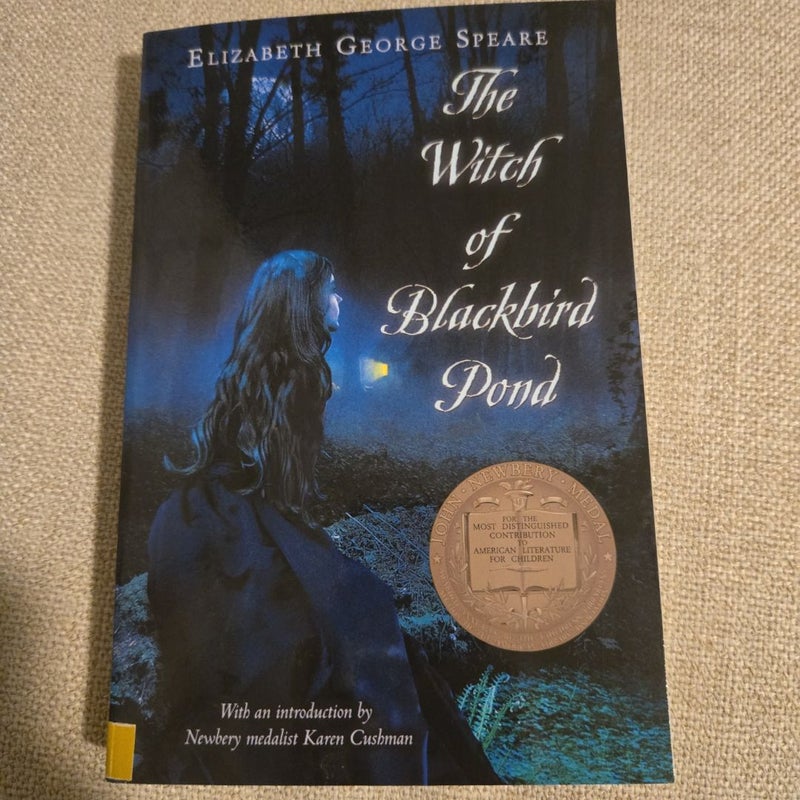 The Witch of Blackbird Pond