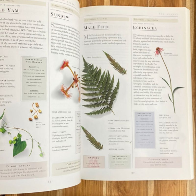 The Complete Illustrated Holistic Herbal Guide