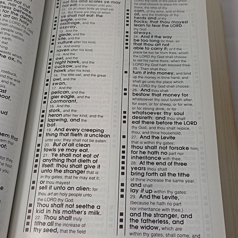 The Kwikscan Holy Bible.   (Bk-2)