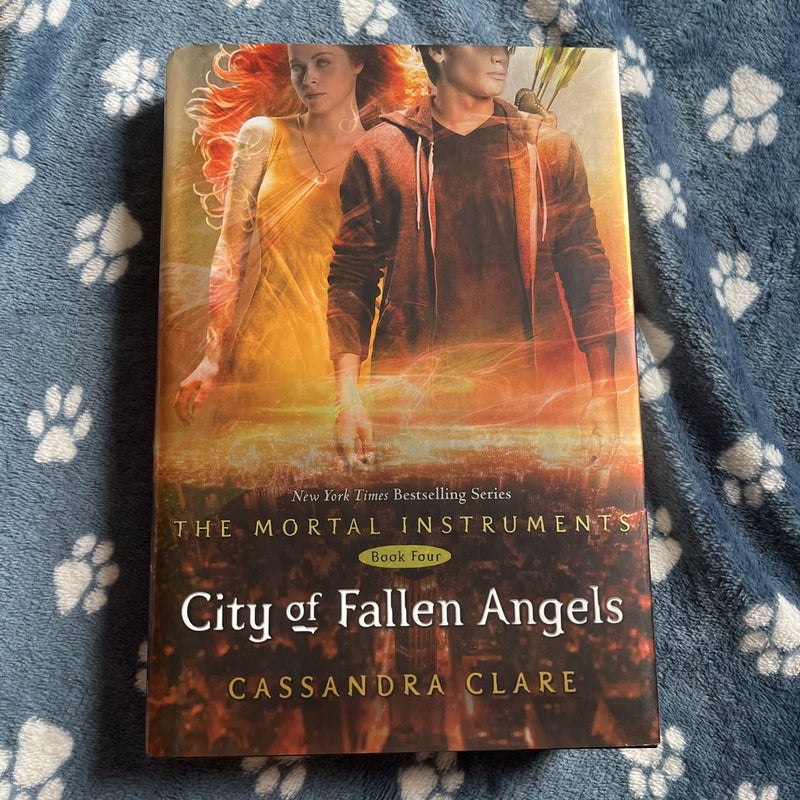 City of Fallen Angels