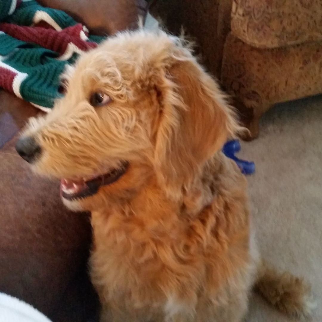 Once More to the Lake