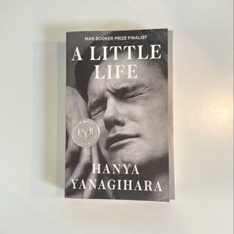 A Little Life