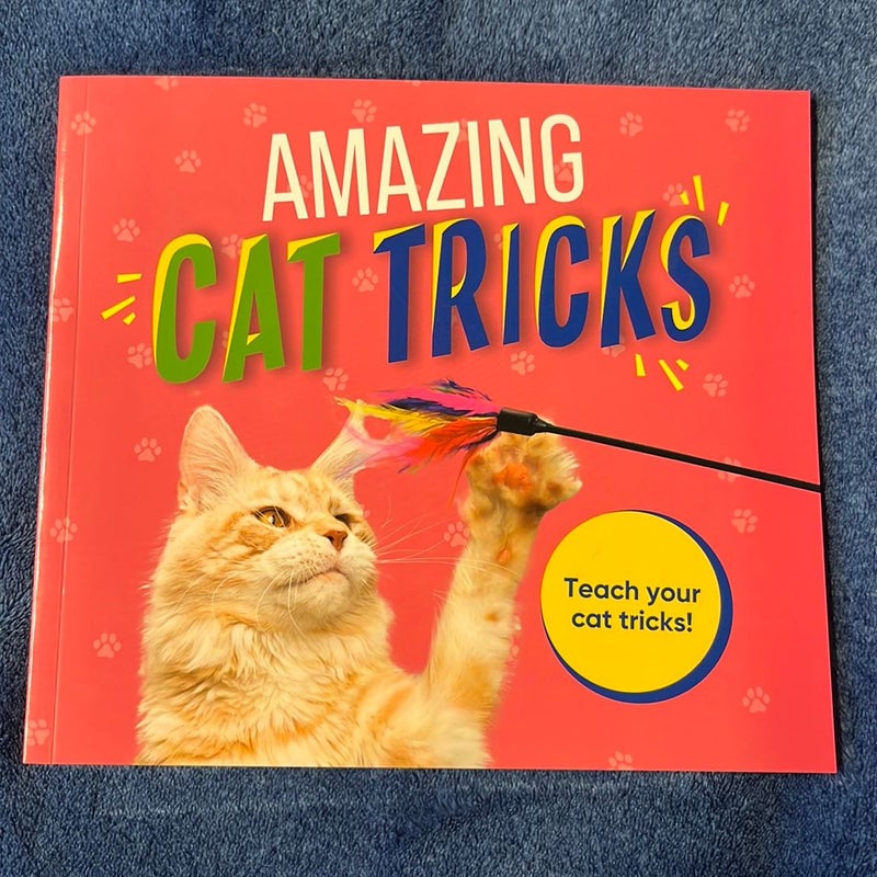 Amazing Cat Tricks