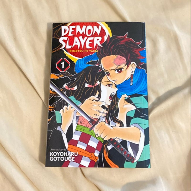 Demon Slayer: Kimetsu No Yaiba, Vol. 1