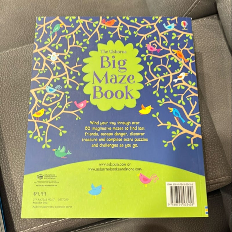 Big Maze Book