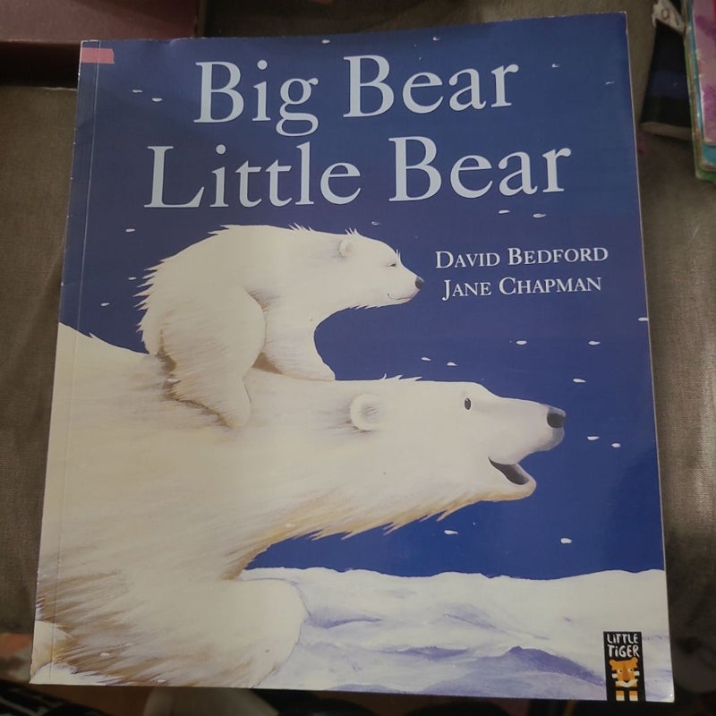 Big Bear Little Bear