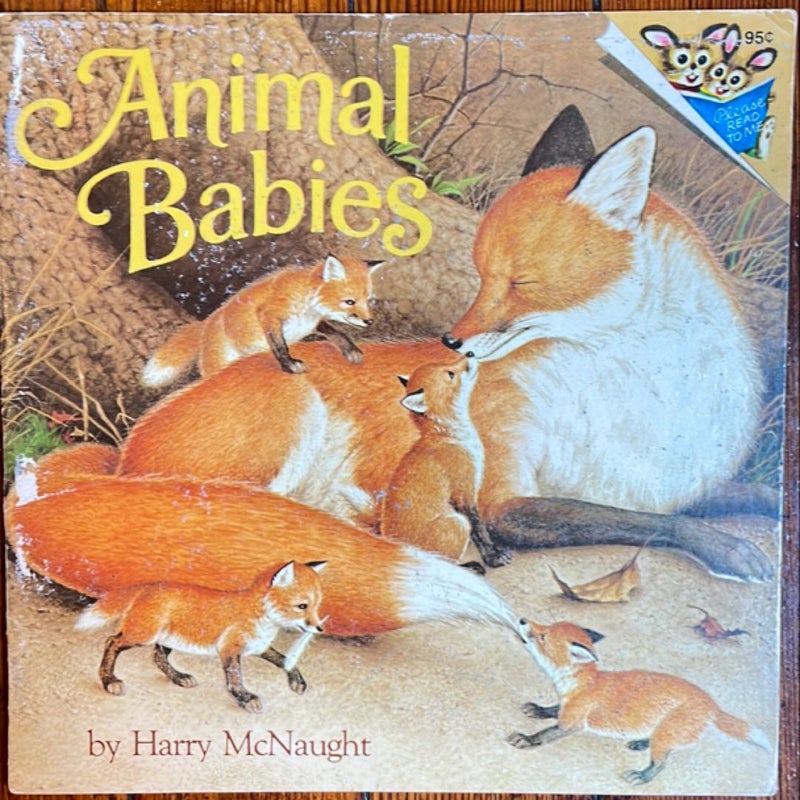 Animal Babies